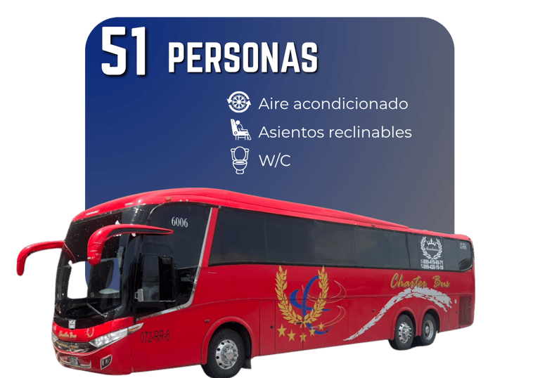 Autobús 51 personas